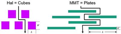 Nanocomposite Coatings Based on Polyvinyl Alcohol and Montmorillonite for High-Barrier Food Packaging